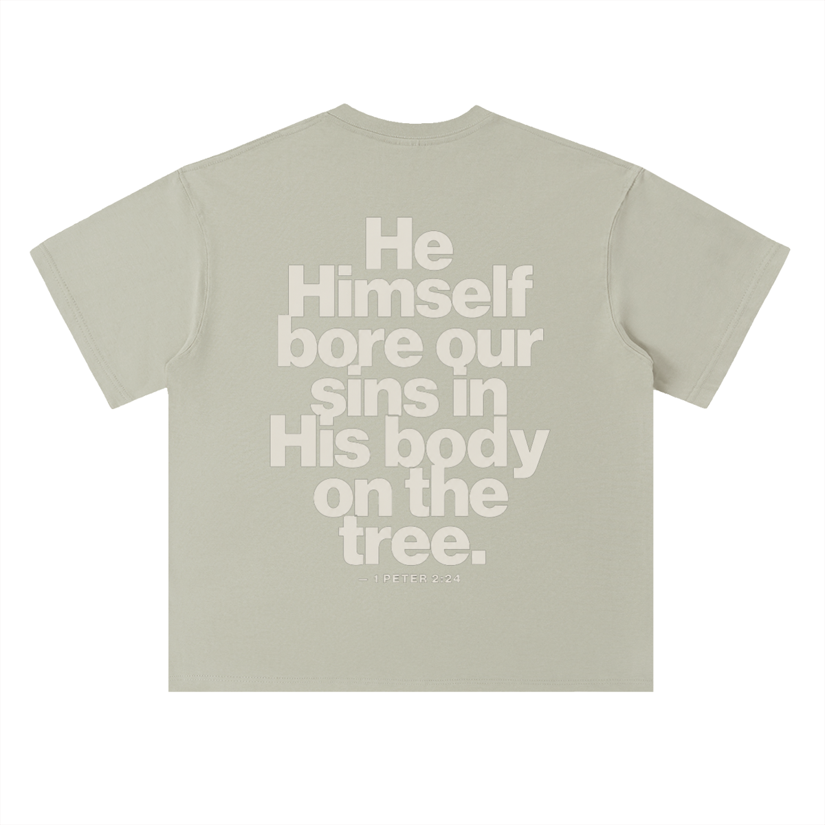 He Bore Our Sins