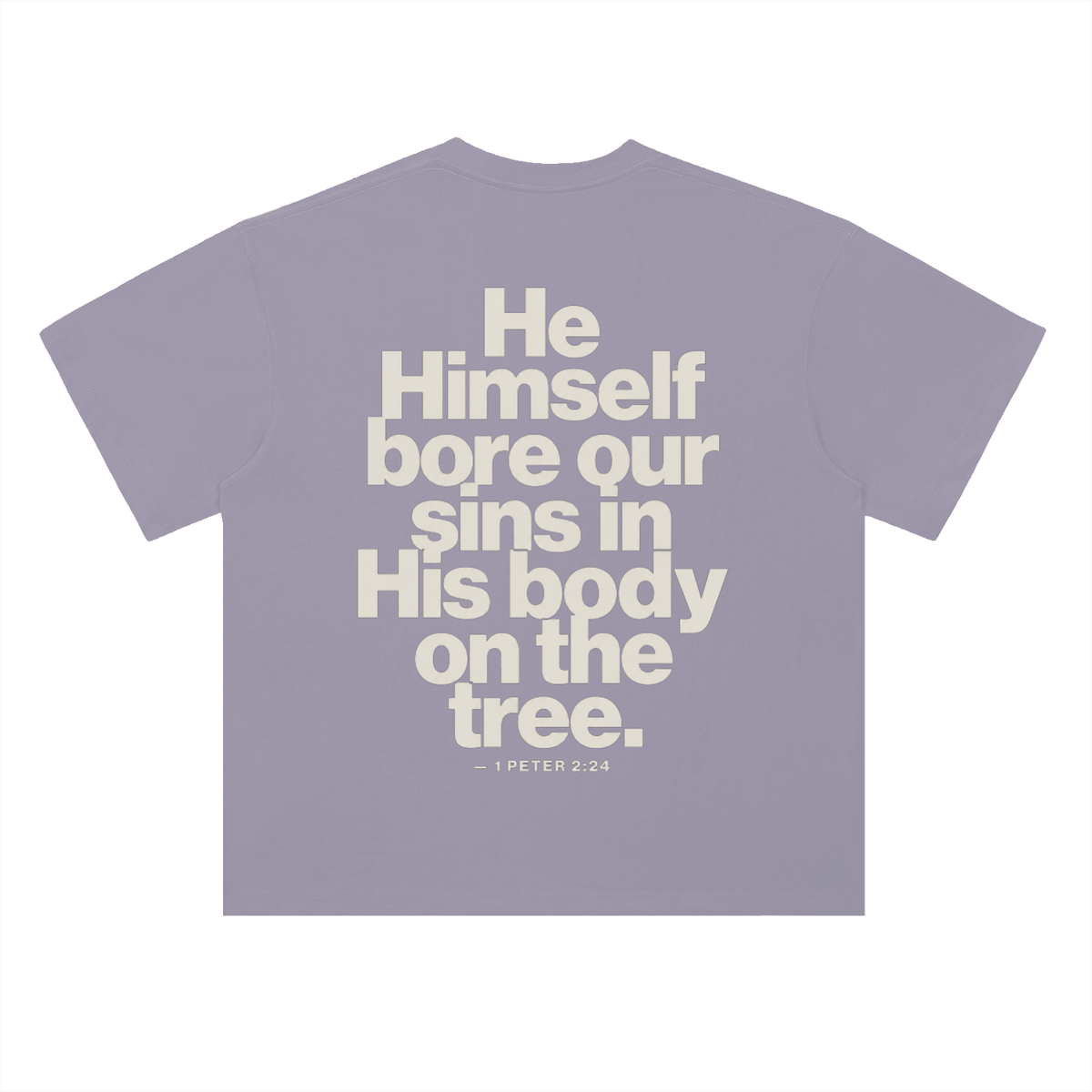 He Bore Our Sins
