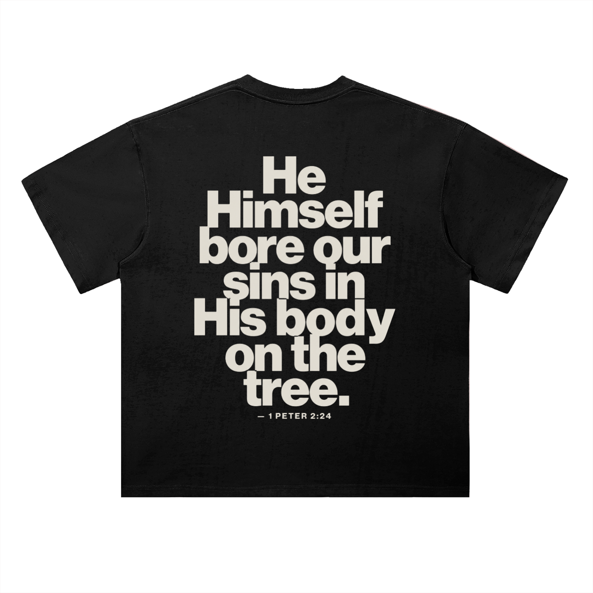 He Bore Our Sins