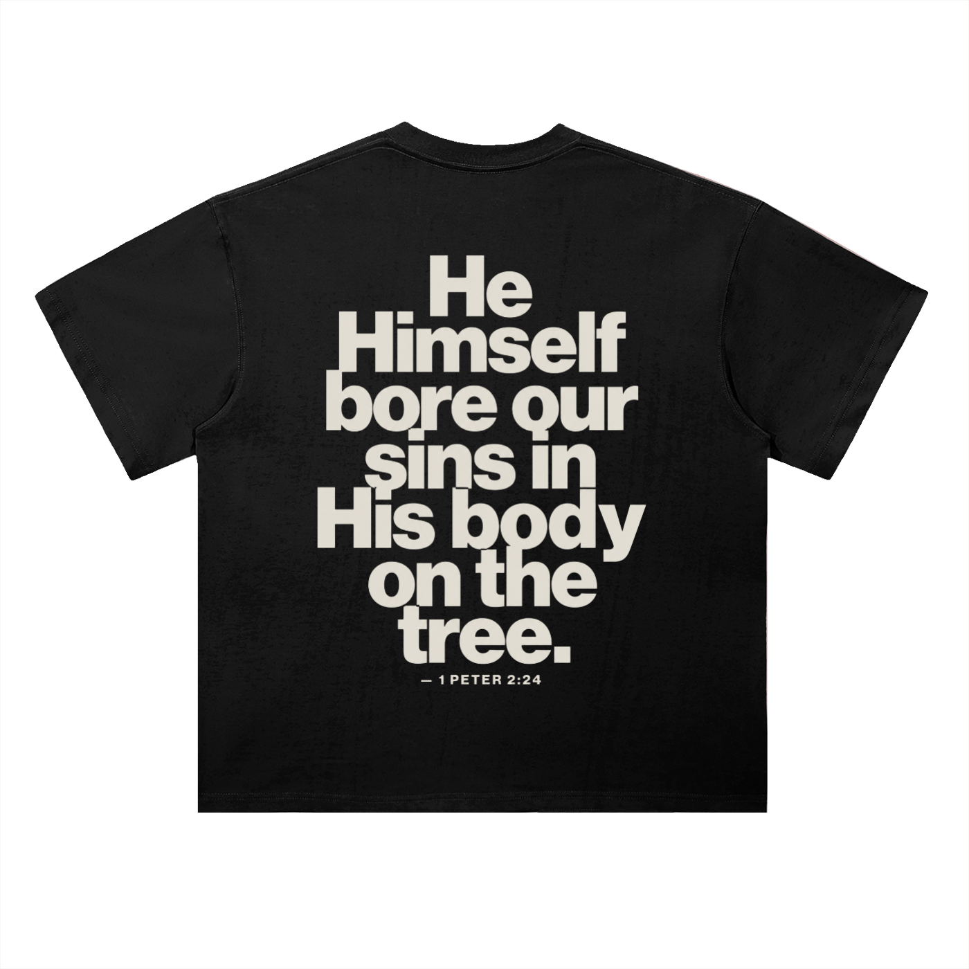 He Bore Our Sins
