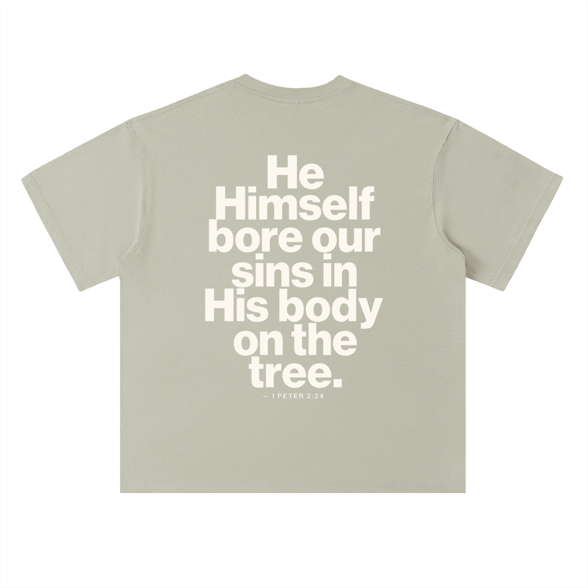 He Bore Our Sins