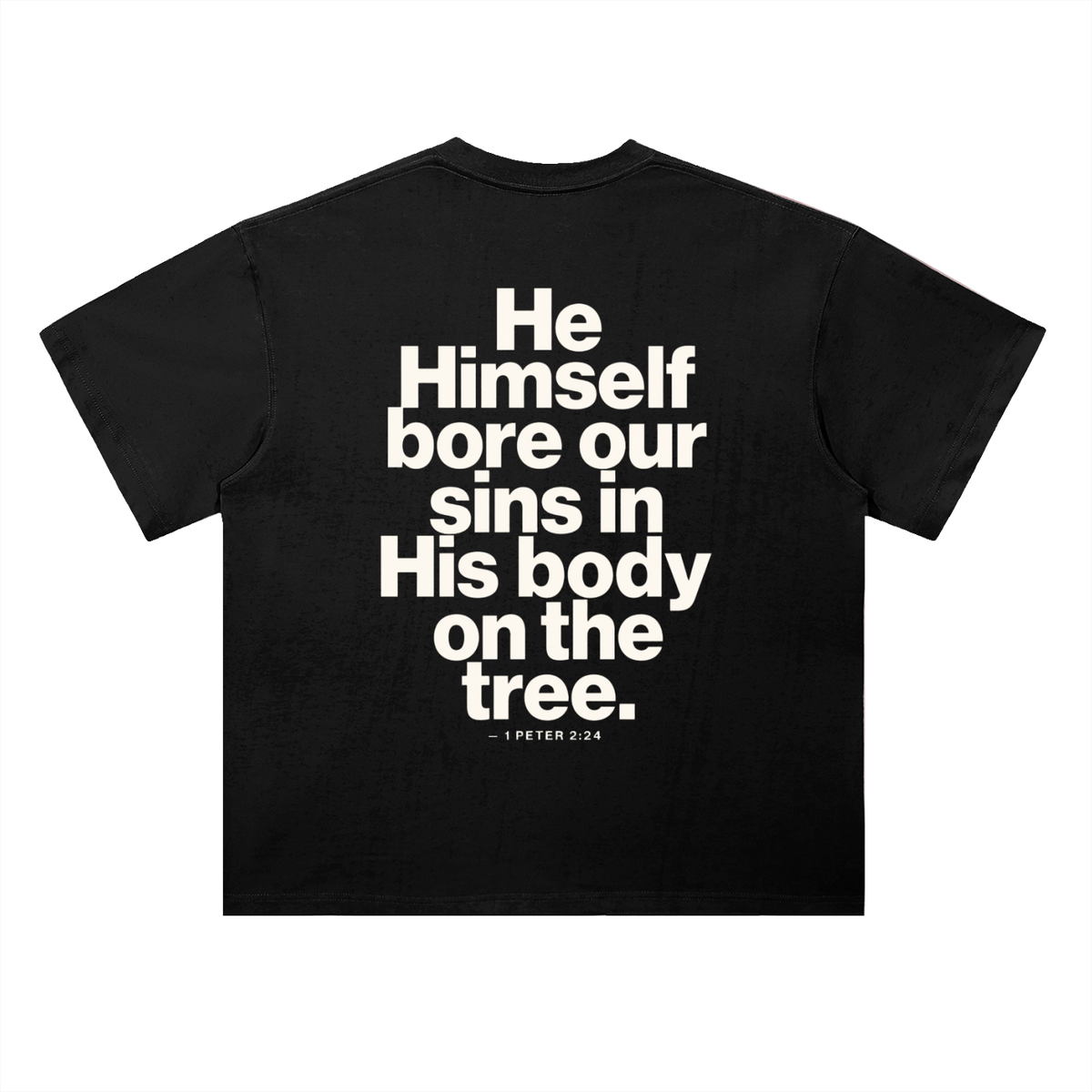 He Bore Our Sins
