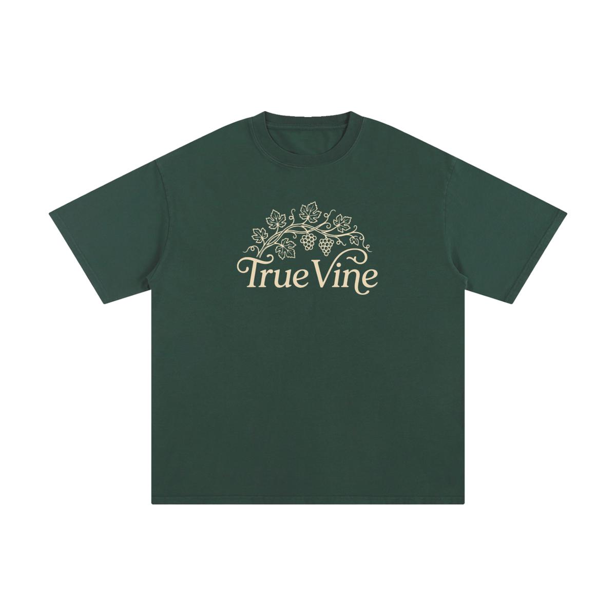 Jesus The True Vine