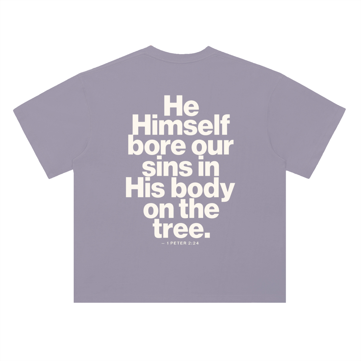 He Bore Our Sins